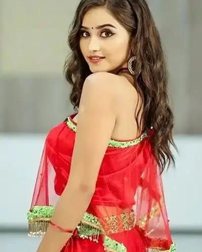 Call Girls Service Ponnur